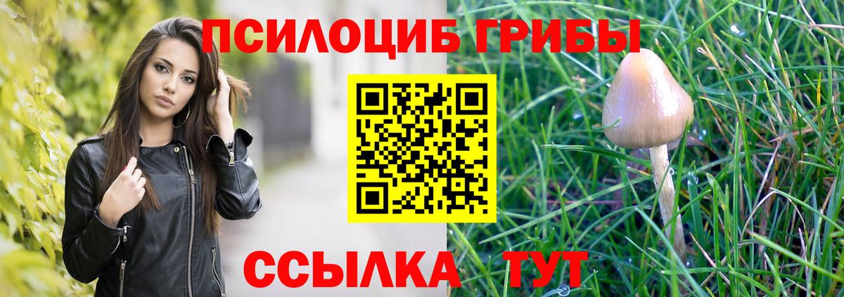 Новый Уренгой  Псилоцибиновые грибы Magic Shrooms  Вход с VPN 