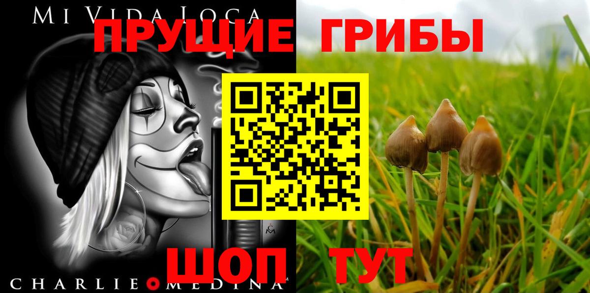 Псилоцибиновые грибы Psilocybe Новый Уренгой
